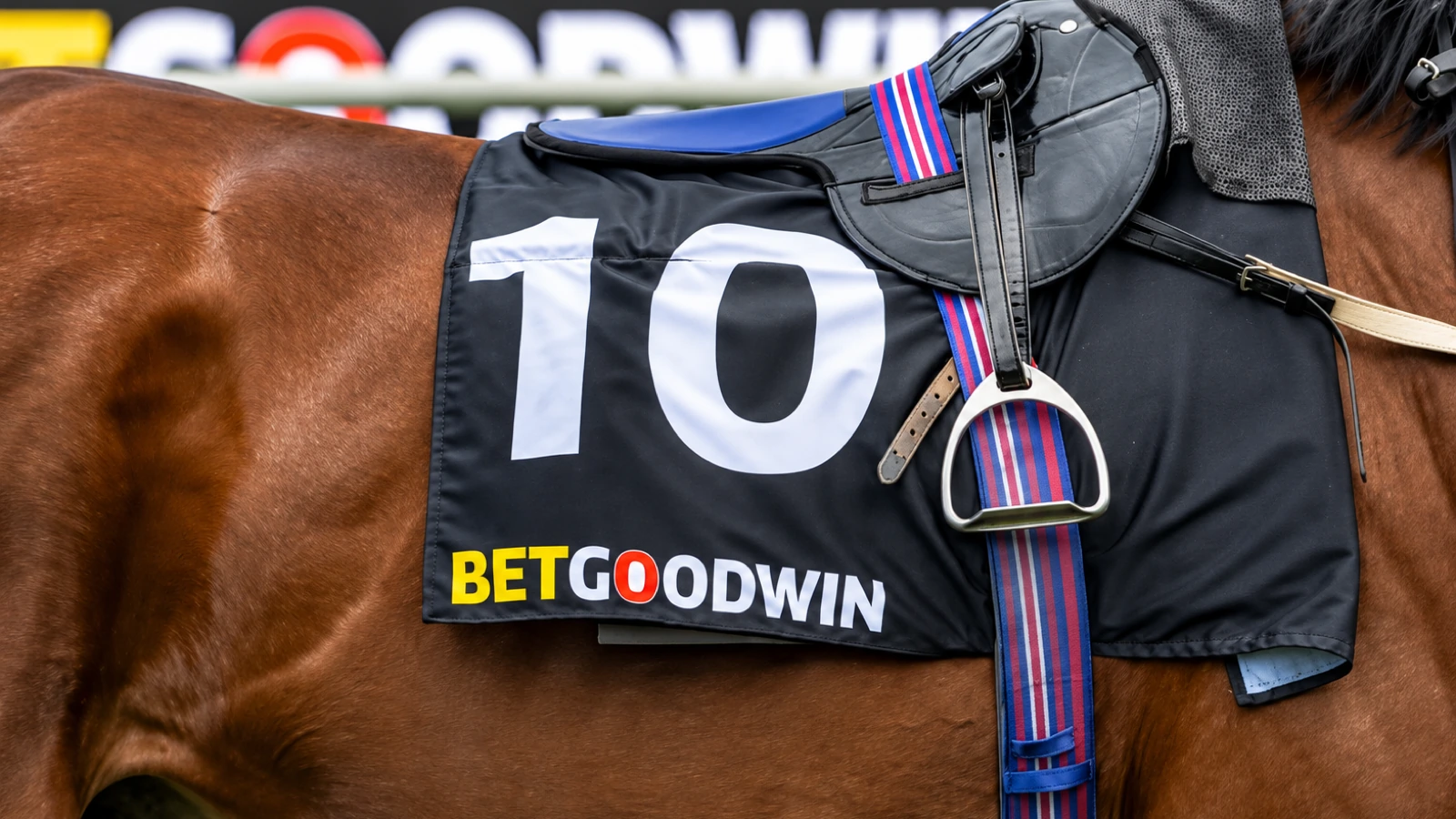 Why BetGoodwin Has One of the Best Racing Promotion Lineups