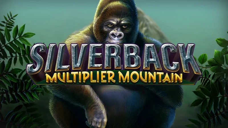 Silverback: Multiplier Mountain