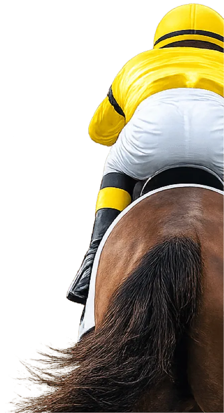 Lucky 15 Tips